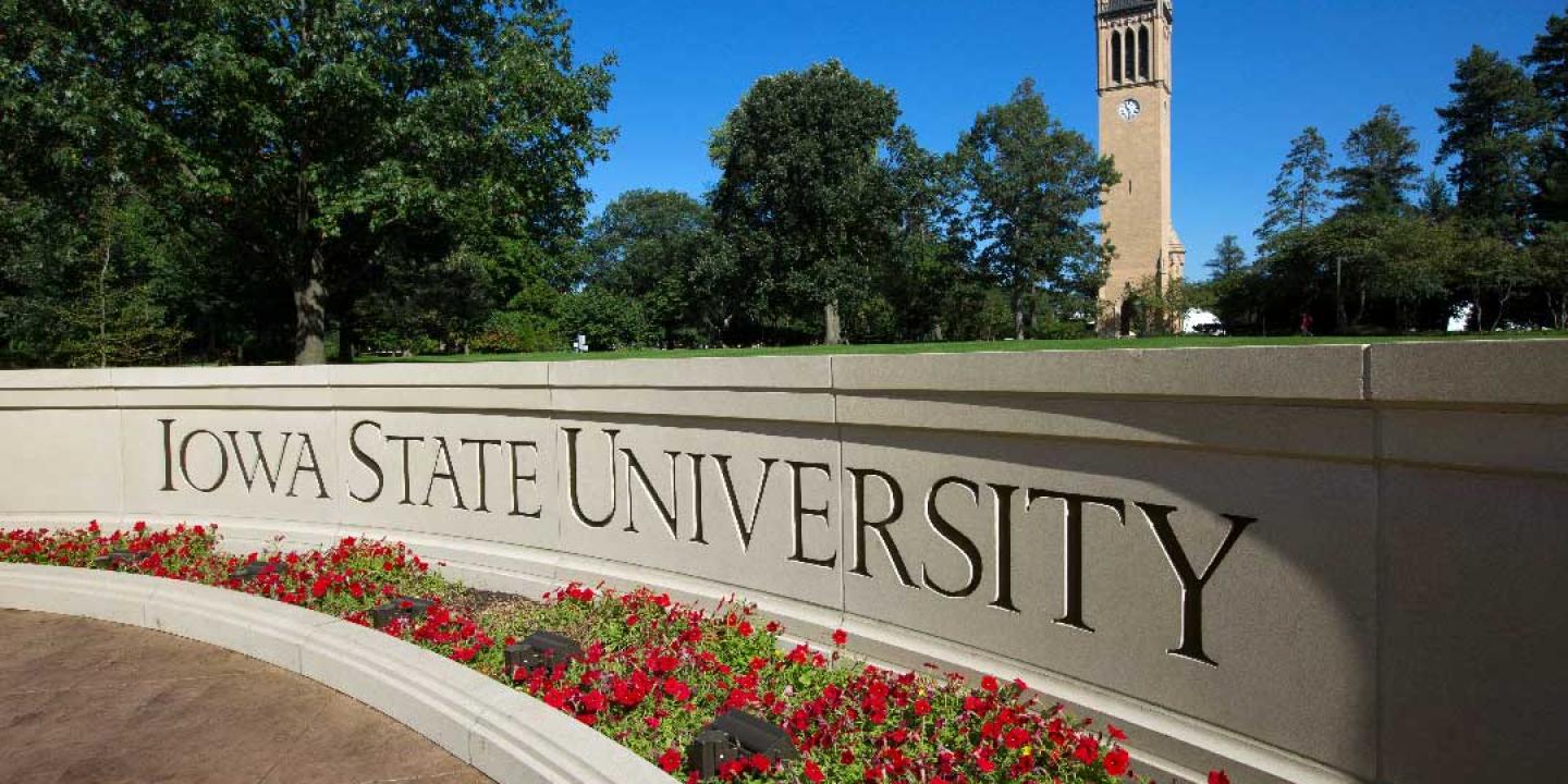 Eight teaching-based projects selected for Miller fellowships