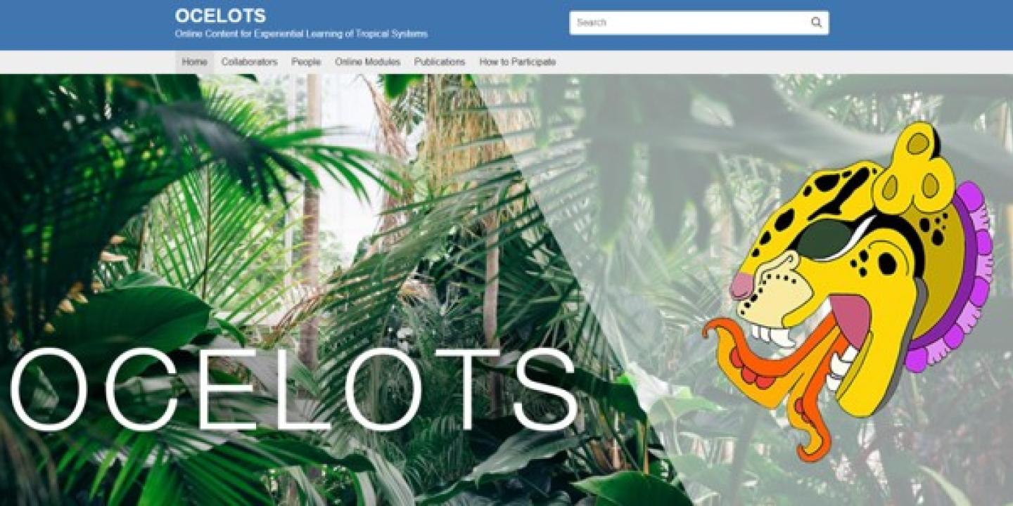 Fostering a network for creating and implementing open education resources in ecology